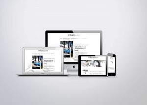 WordPress website Euro3000.net