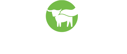 bm_logo2-1